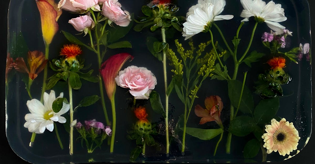 Necessary Equipment for Preparing the Epoxy Flooring Project